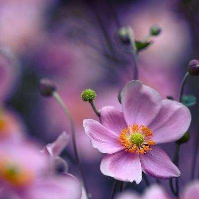 半岛·体育中国官方网站下载