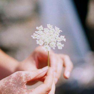 大发彩票官方官方平台app下载手机版